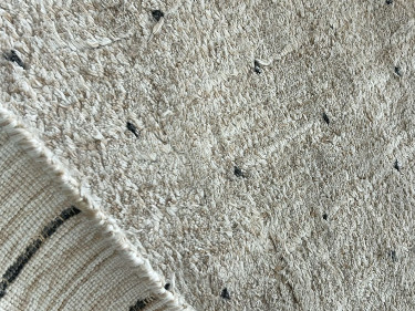 about-us contact about carpet cleaning in norfolk area rug cleaning in norfolk