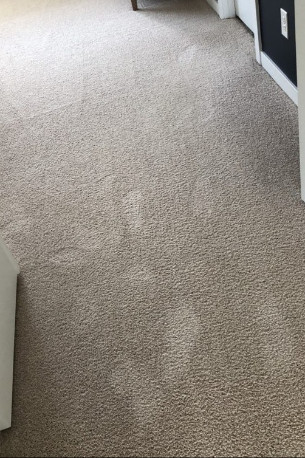 who-we-are contact about carpet cleaning in norfolk area rug cleaning in norfolk